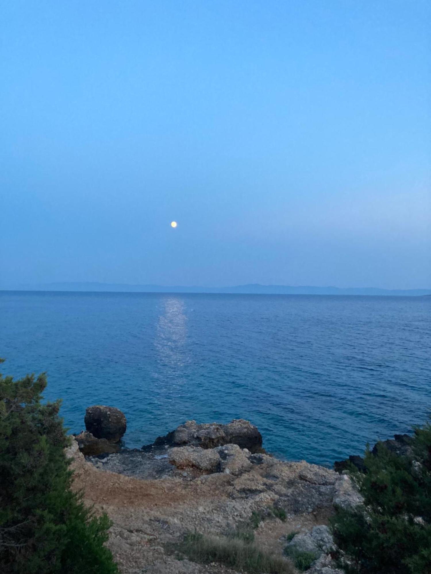 Sea View Eco House With Private Pool, 250m To - Falcon View Hvar