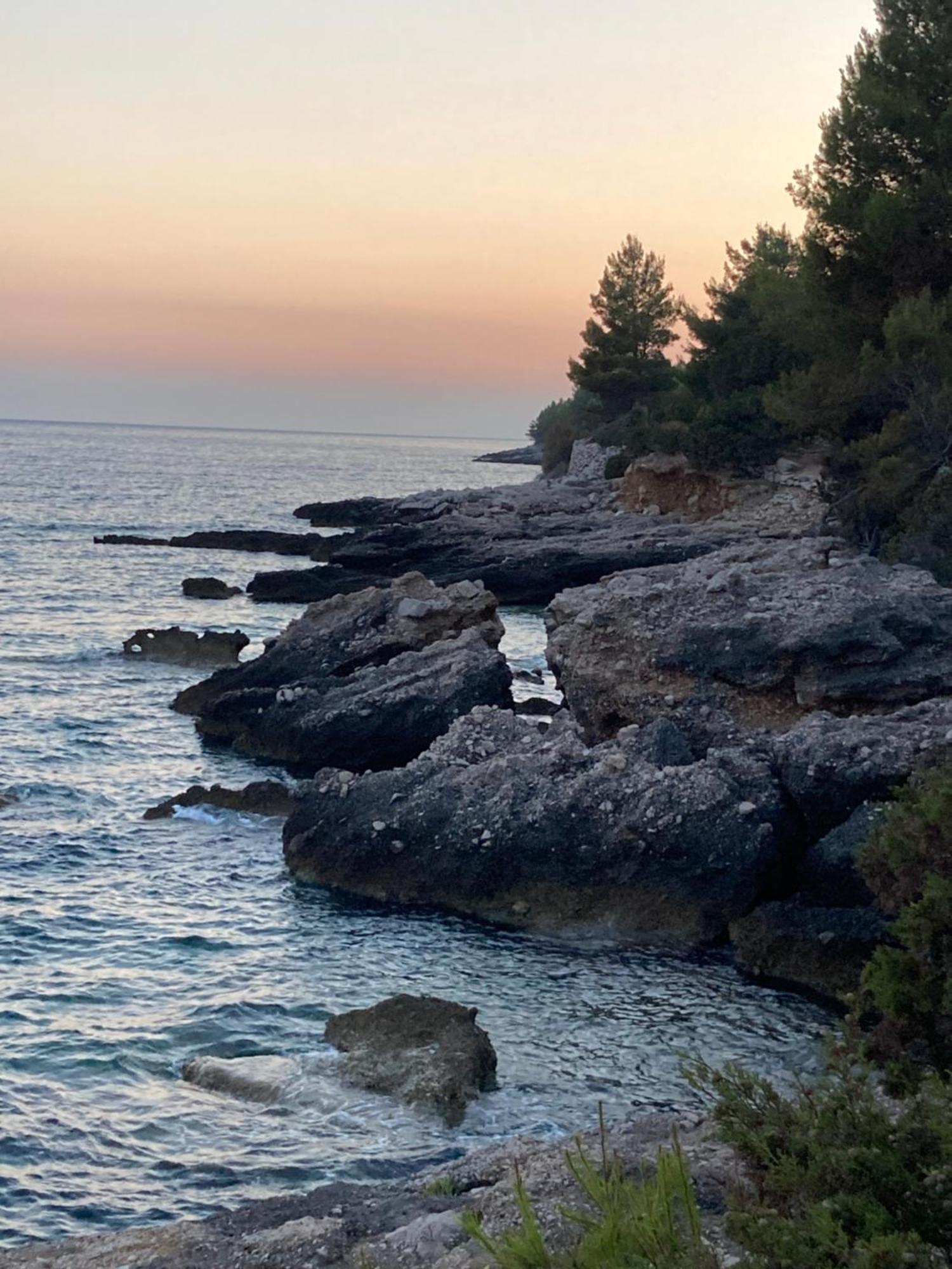 Sea View Eco House With Private Pool, 250m To - Falcon View Hvar Villa
