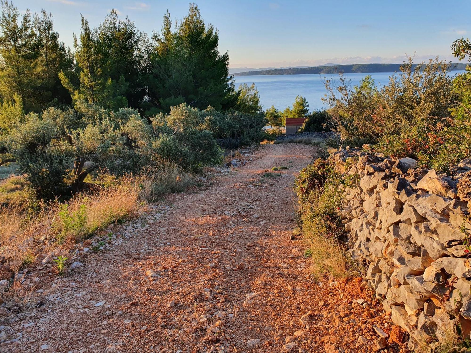 Sea View Eco House With Private Pool, 250m To - Falcon View Hvar *